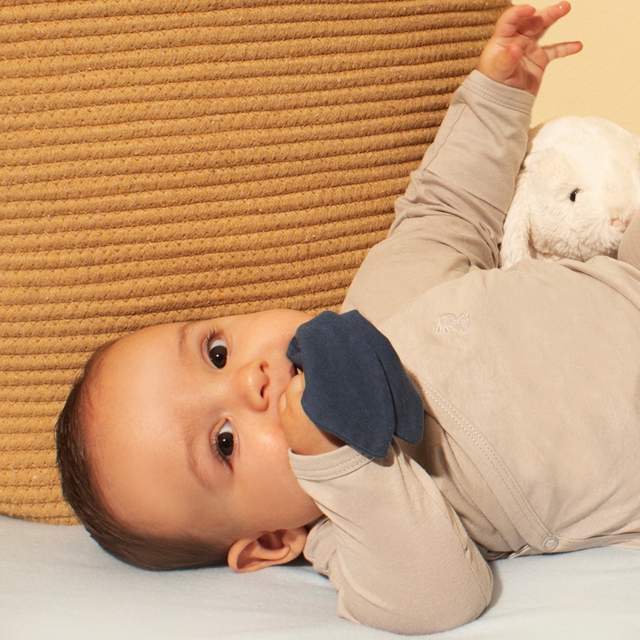Mordedera Itsy Bunny